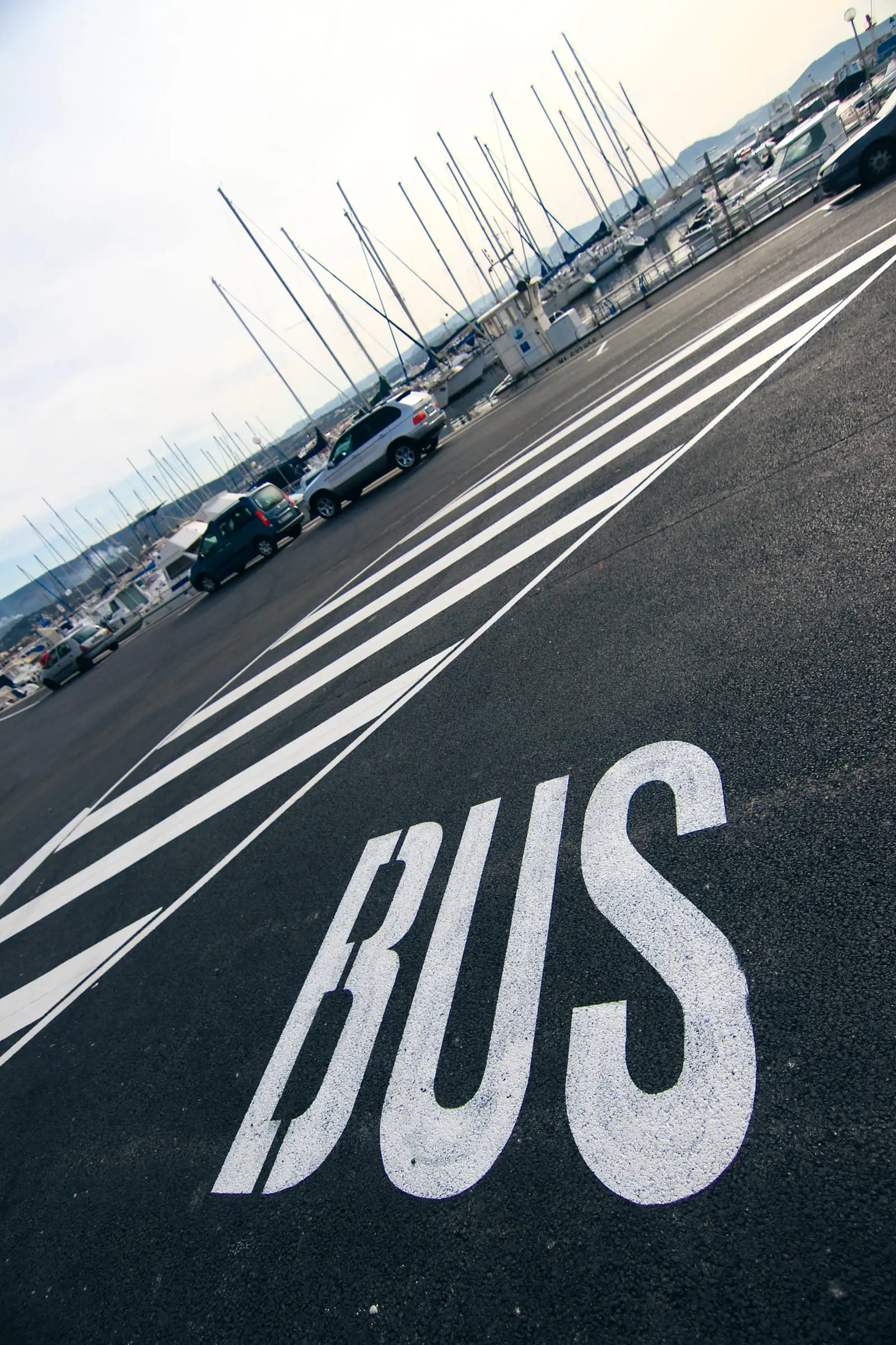Mention BUS peinte en grand sur une voie réservée